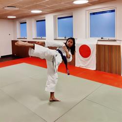 Amager budo & Genseiryu karate klub i København (Amager) åbningstider