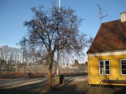 Humlebæk Tennisklub, åbningstider
