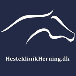 Hesteklinik Herning ApS, åbningstider