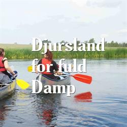 Djursland For Fuld Damp, Allingåbro åbningstider