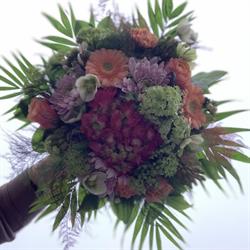 Byens Blomster, Aars åbningstider