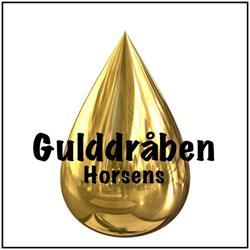 Gulddråben ApS, Horsens åbningstider