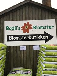 Bodil's Blomster & Planteskole, Haslev åbningstider