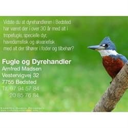 Fugle & Dyrehandler Arnfred M Madsen, Bedsted Thy åbningstider
