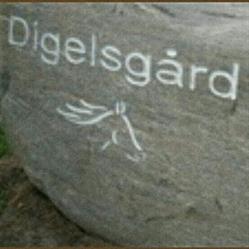 Digelsgård Ridecenter i/S i Fredensborg (Langstrup) åbningstider
