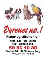 Dyrenes no. 1, Kalundborg åbningstider