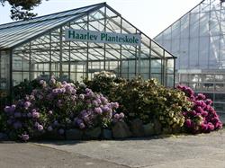 Hårlev Planteskole, åbningstider
