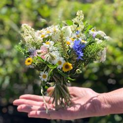 Blomsterværkstedet i Thorsø (Tungelund) åbningstider