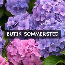 Sommersted i Allinge (Tejn) åbningstider