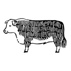 A Hereford Beefstouw i Aarhus (C) åbningstider