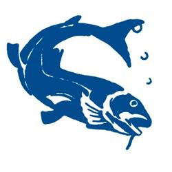 Knud Thomsens Fiskeeksport a/S, Strandby åbningstider