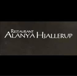Alanya Pizzarestaurant & Cafebar v/Devrim Cetinkaya, Hjallerup åbningstider