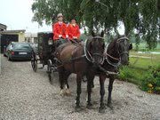 Amager Fest Hest v/Dan Emskær, Dragør åbningstider