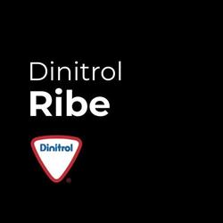 Dinitrol Ribe v/Tommy Madsen, åbningstider