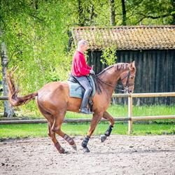 Gunnarsholm Ridecenter Henrik C Cristfort Trine M Hansen, Rønnede åbningstider