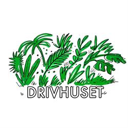 Drivhuset (ungdomshuset), Skive åbningstider