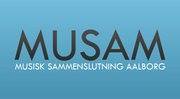 Musam, Aalborg åbningstider