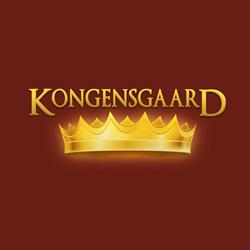 Kongensgaard ApS i Odense (C) åbningstider