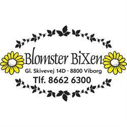 Blomster Bixen v/Margit Boll Augustinussen, Viborg åbningstider