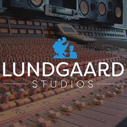 Lundgaard Studios v/Henning Tobiasen, Vejen åbningstider