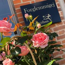 Blomsterforretning Forglemmigej i Søndersø (N) åbningstider