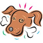 Hedvigs hundeshop og træning, Helsingør åbningstider