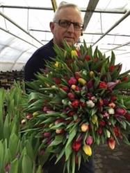 Tulipangaarden, Hadsten åbningstider