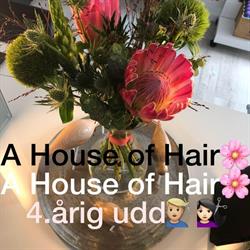 A House of Hair, Varde åbningstider