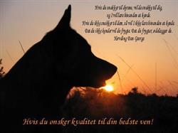 Egely Hunde, Herning åbningstider