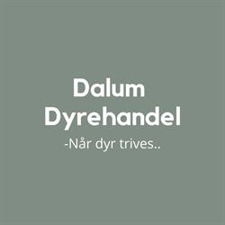 Dalum Dyrehandel i Odense (Sv) åbningstider