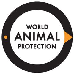World Animal Protection Danmark i København (K) åbningstider