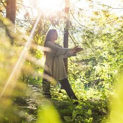 Qi Gong København, åbningstider