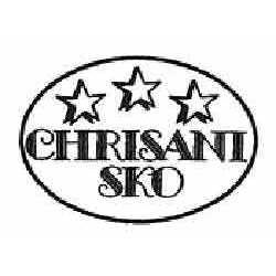 Chrisani Sko, Skælskør åbningstider
