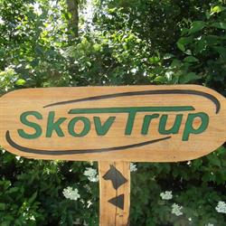 SkovTrup.dk, Hobro åbningstider