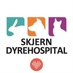 Skjern Dyrehospital, åbningstider