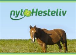 Nyt Hesteliv, Morud åbningstider