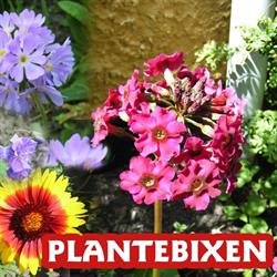 Plantebixen, Storvorde åbningstider