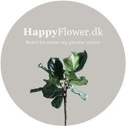 Happyflower.dk i Frederiksberg (C) åbningstider