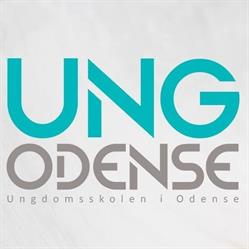 UngOdense, åbningstider