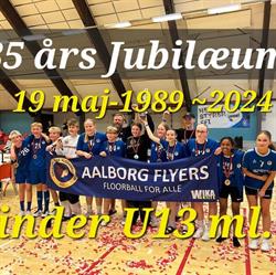 Aalborg Flyers Floorball Club, åbningstider