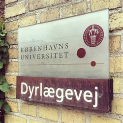 Universitetshospitalet for Familiedyr i Frederiksberg (C) åbningstider