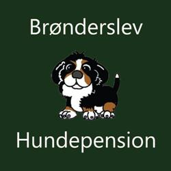 Brønderslev Hundepension, åbningstider