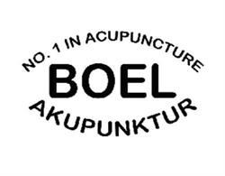 Boel Akupunktur, Højbjerg åbningstider
