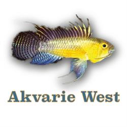 Akvarie West, Vildbjerg åbningstider