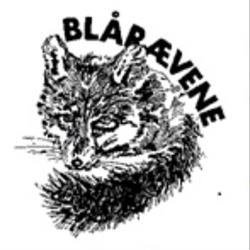 Blårævene 6. Aalborg, åbningstider