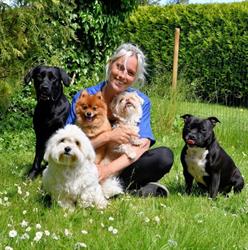 MRS Hundesalon, Søndersø åbningstider