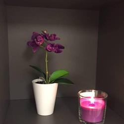 Baagøes fodpleje & wellness, Vejen åbningstider