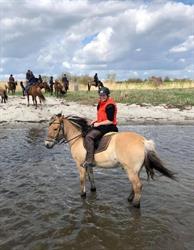 Amagervoksenridetur, Dragør åbningstider