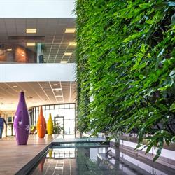 Natural Greenwalls A/S, Kolding åbningstider
