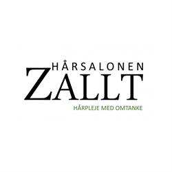 Hårsalonen ZALLT, Silkeborg åbningstider